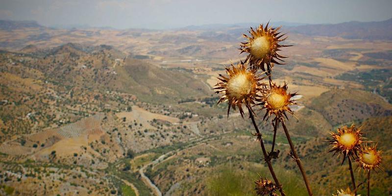 不止于快：揭秘Wi-Fi 6如何重塑企业网络，赋能资源分享与软件开发