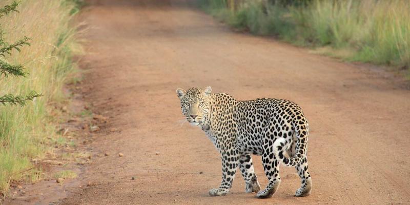 从后端到前端的全栈性能可视化：当NPM遇上DEM，打造孟菲斯风格的性能洞察新范式