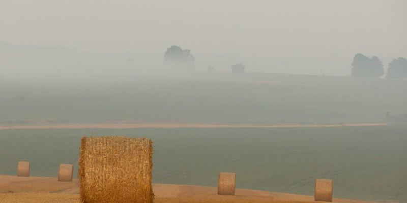 从脚本到平台:用NetDevOps与孟菲斯美学构建自愈型网络基础设施