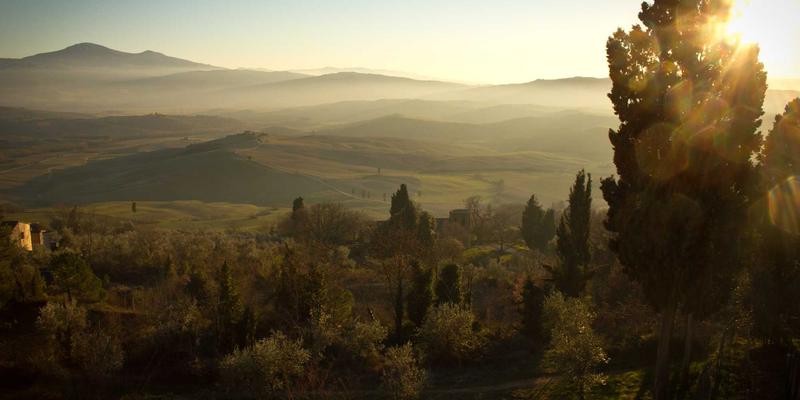 从被动响应到主动预见:网络可观测性如何用遥测数据预测故障