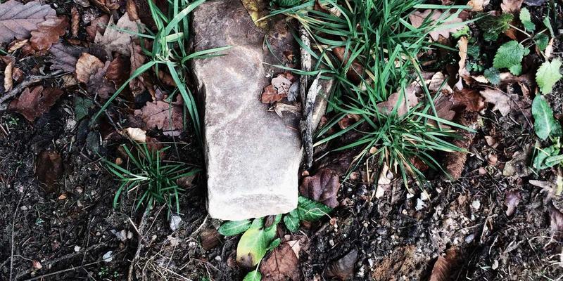 当工业互联网遇见确定性未来：TSN如何像孟菲斯风格编程一样重塑数据传输